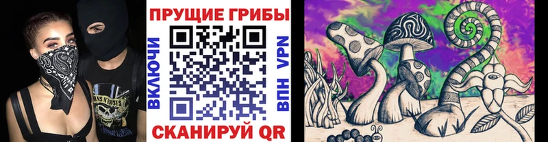 Псилоцибиновые грибы Cubensis  что такое   Торопец 